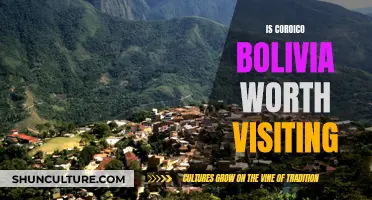 Coroico, Bolivia: A Must-Visit Destination?