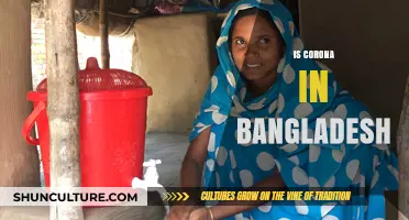 COVID-19 in Bangladesh: Current Status, Challenges, and Community Response