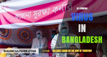 Bangladesh's COVID-19 Status: Current Situation and Updates on Coronavirus