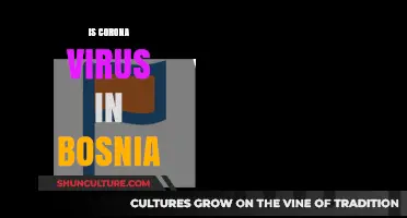 Is Coronavirus Still Present in Bosnia? Current Status and Updates