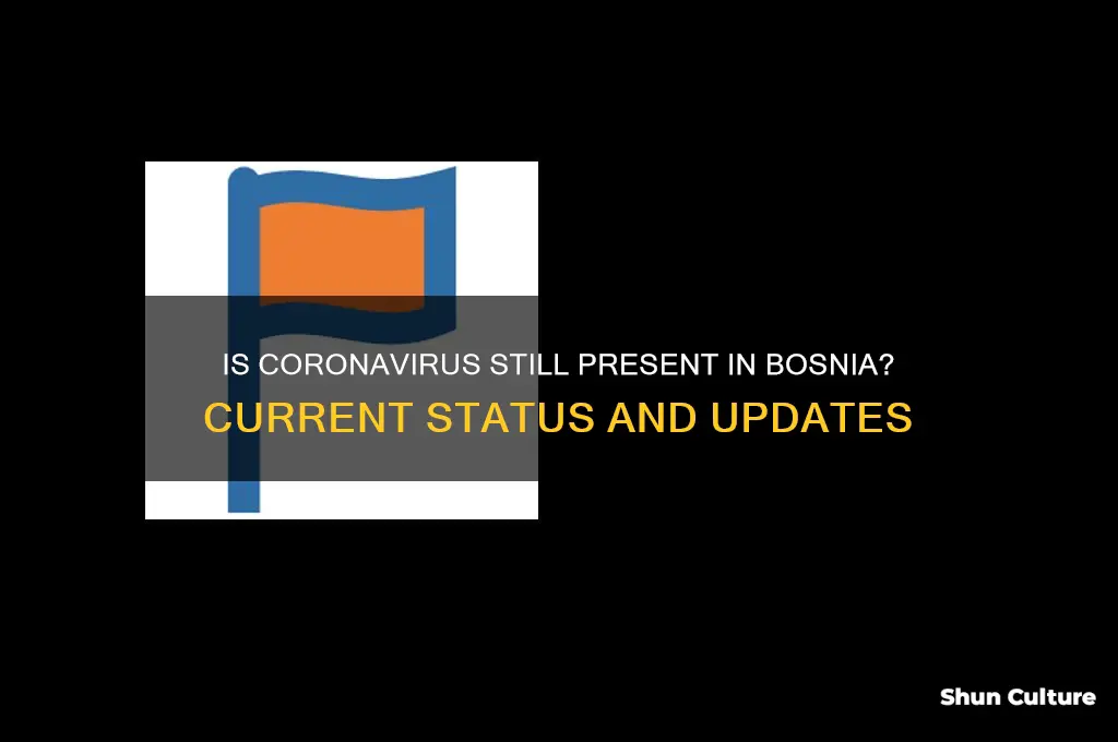 is corona virus in bosnia
