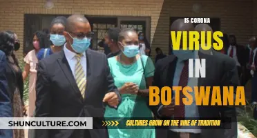 Botswana's COVID-19 Status: Current Cases, Prevention, and Public Health Measures