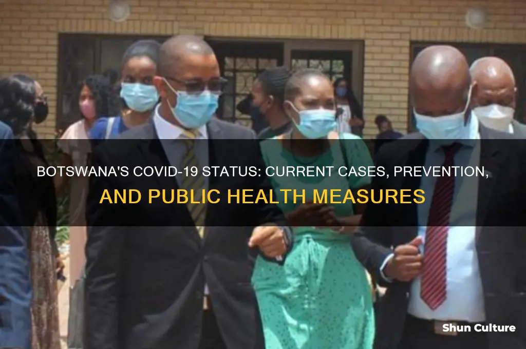 is corona virus in botswana
