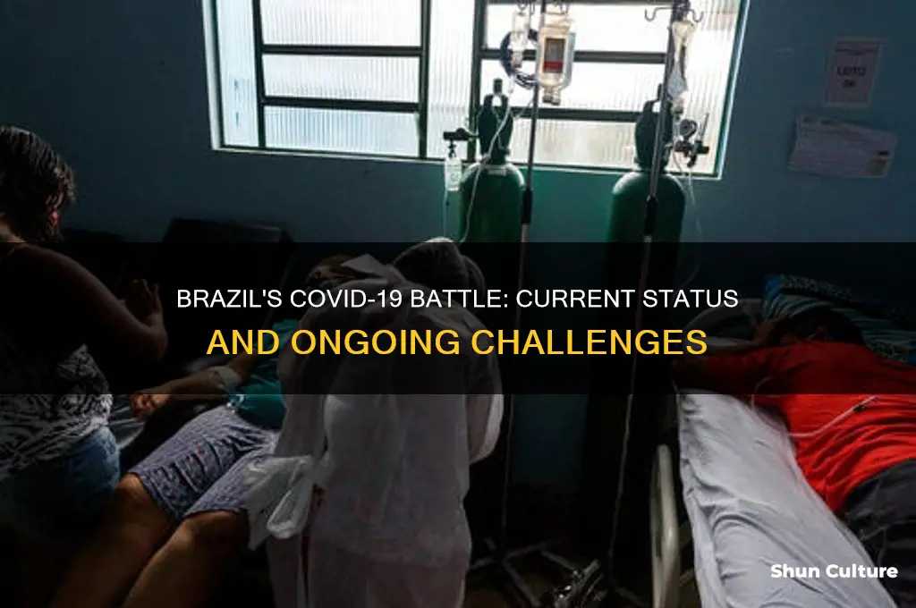 is corona virus in brazil