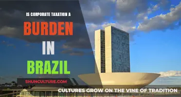 Is Corporate Taxation in Brazil a Burden or Opportunity?