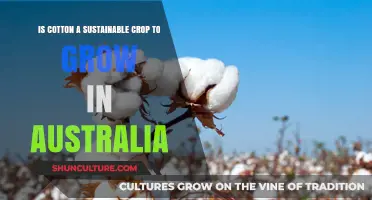 Cotton in Australia: Sustainable Crop or Environmental Hazard?