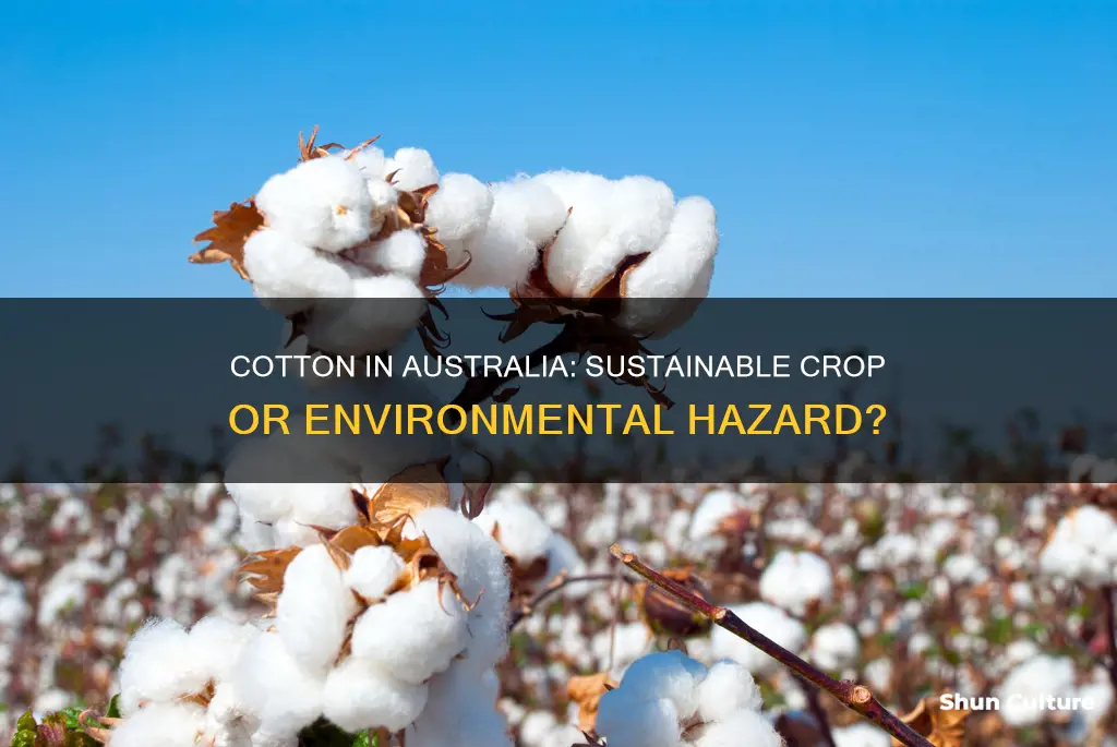 is cotton a sustainable crop to grow in australia