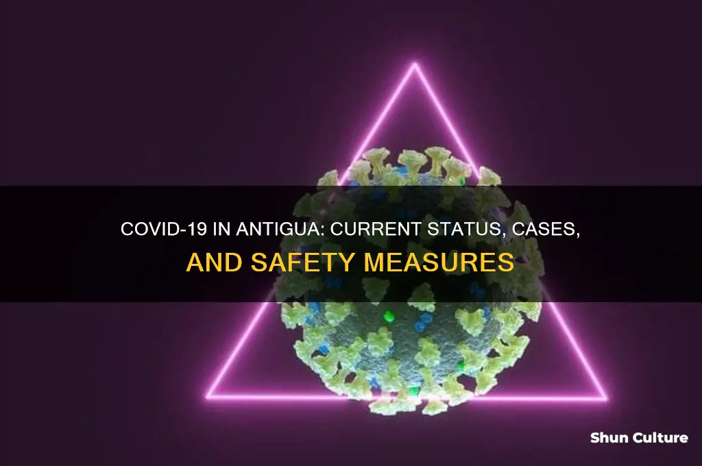 is covid 19 in antigua