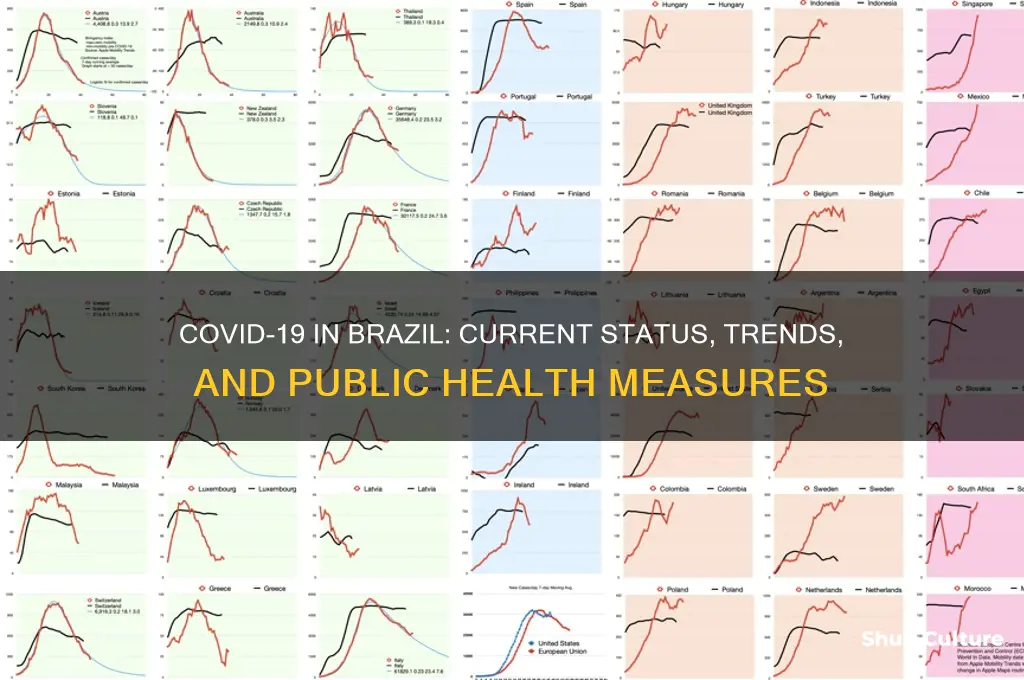 is covid 19 in brazil