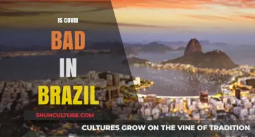 COVID-19 in Brazil: Current Impact, Challenges, and Public Health Response