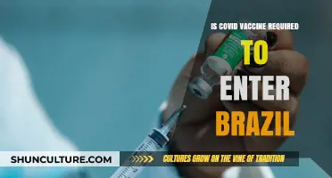 COVID Vaccine Requirements for Brazil Entry: What Travelers Need to Know