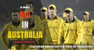 Cricket in Australia: A National Obsession?