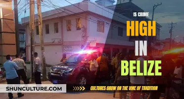 Belize's Crime Wave: A Troubling Trend