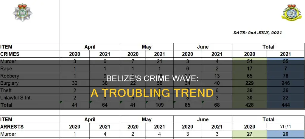 is crime high in belize