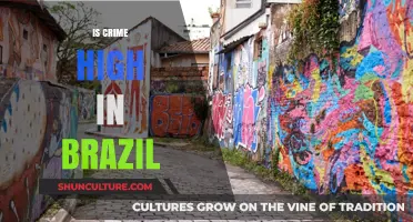 Brazil's Crime Rates: Uncovering the Truth Behind the Statistics