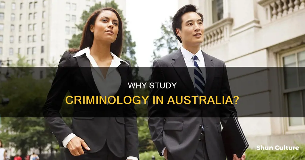 is criminology a good degree australia