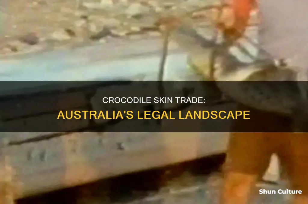 is crocodile skin illegal in australia