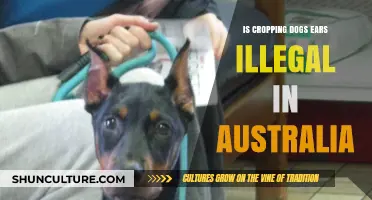 Ear Cropping in Dogs: Australia's Stance and Laws