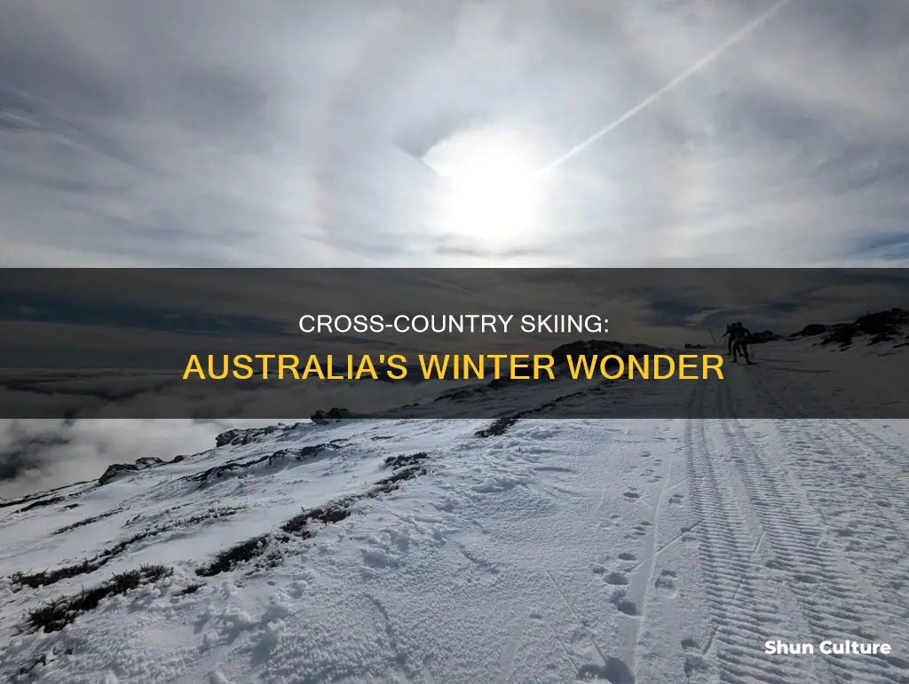 is cross country skiing big in australia