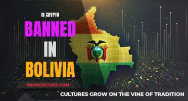 Bolivia's Crypto Ban: Exploring the Country's Strict Stance