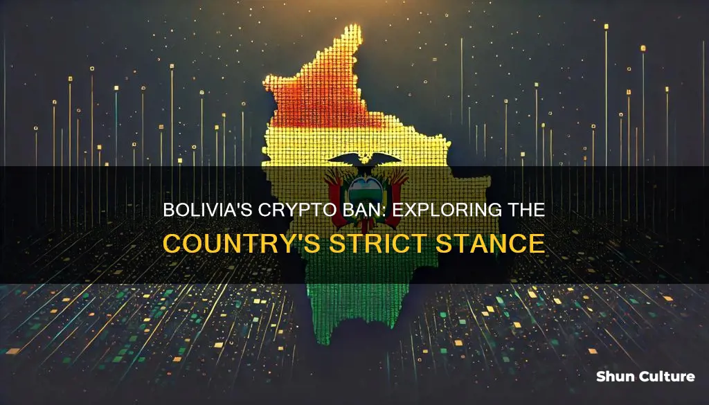 is crypto banned in bolivia