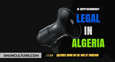 Is Cryptocurrency Legal in Algeria? Exploring the Current Regulatory Landscape