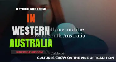 Cyberbullying in Western Australia: What's the Law?