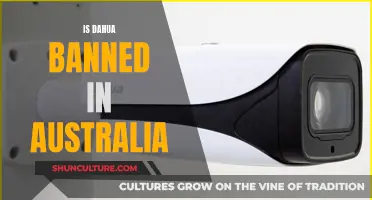 Dahua's Fate in Australia: Banned or Not?