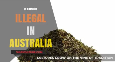 Damiana: Australia's Legal Status Explored
