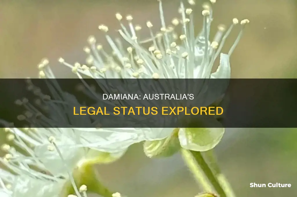 is damiana illegal in australia