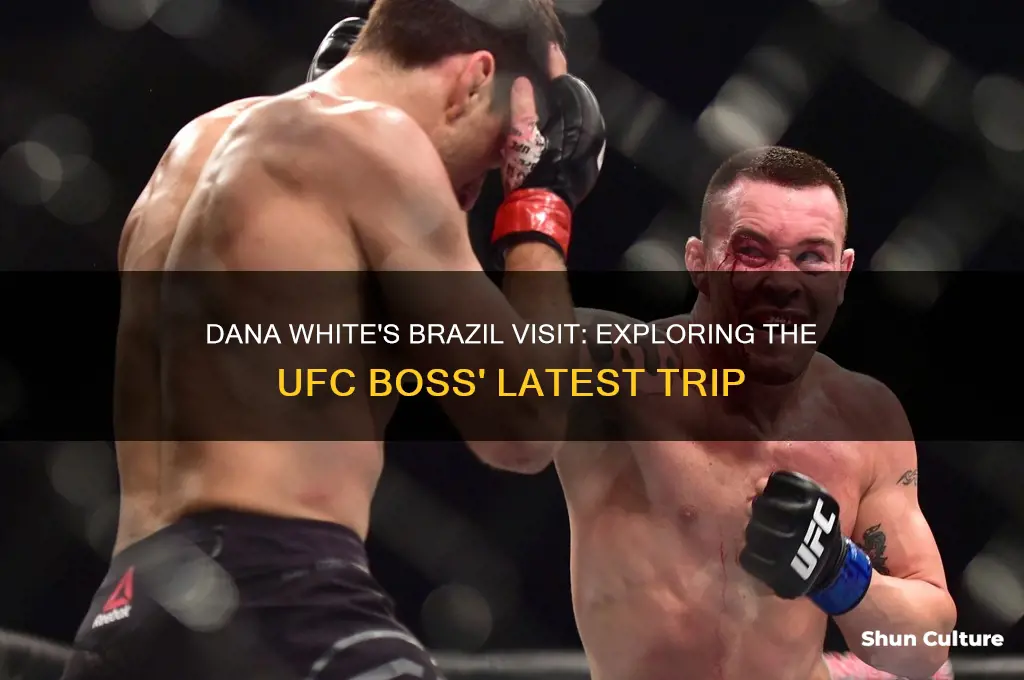 is dana white in brazil