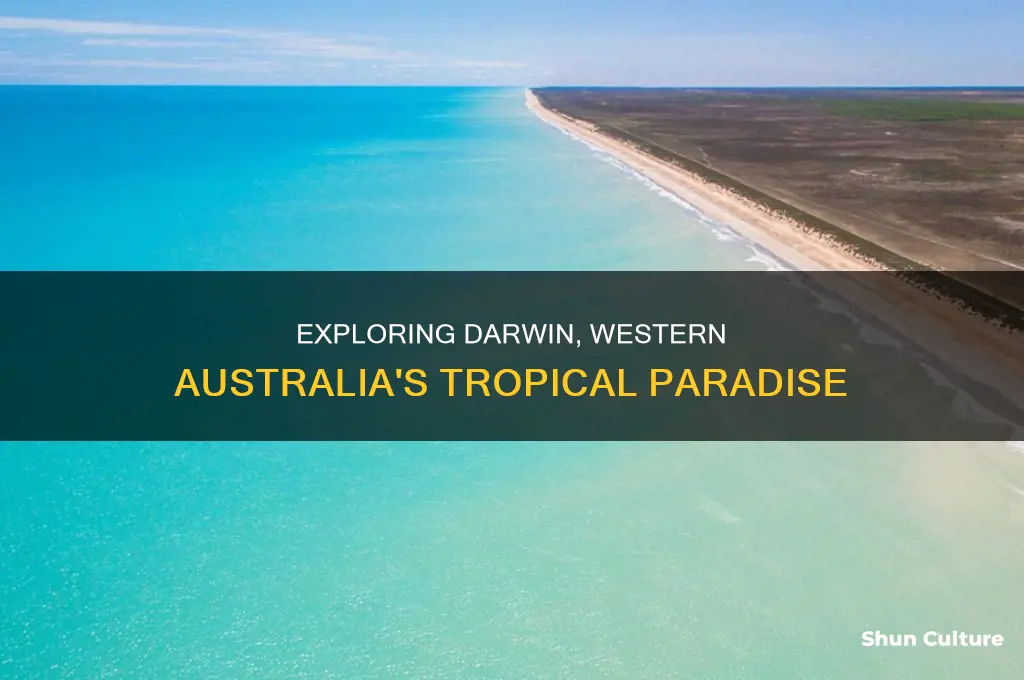 is darwin in western australia