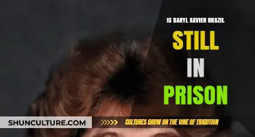 Daryl Xavier Brazil's Current Status: Is He Still Incarcerated?