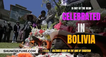 Bolivia's Day of the Dead: A Cultural Celebration