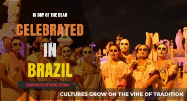 Day of the Dead in Brazil: Myth or Cultural Practice?