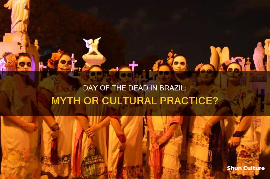is day of the dead celebrated in brazil
