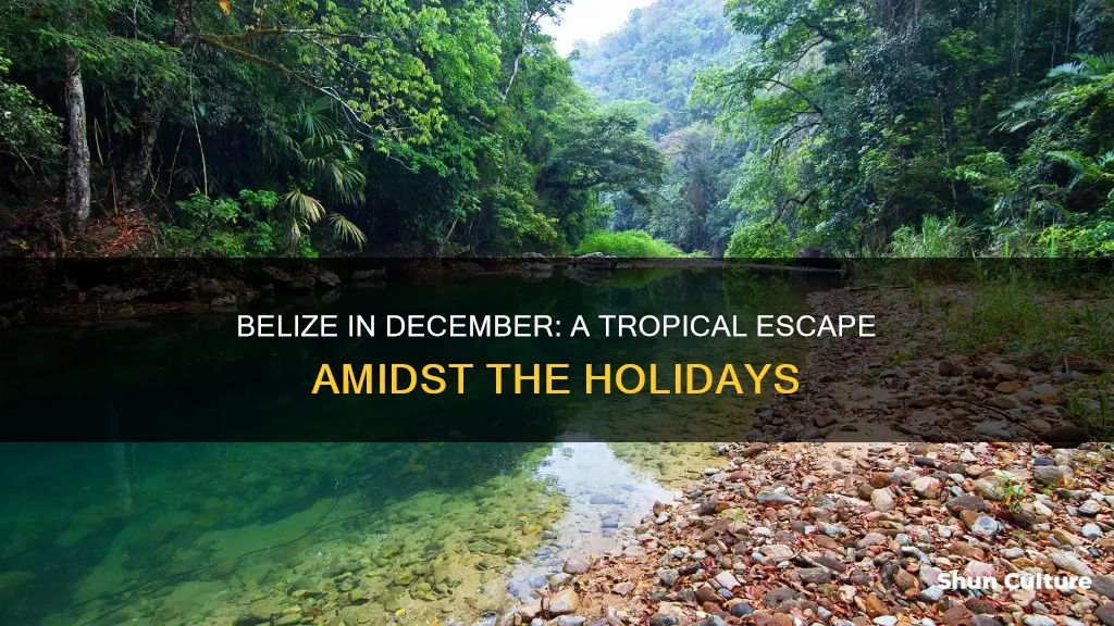 is december a good time to go to belize