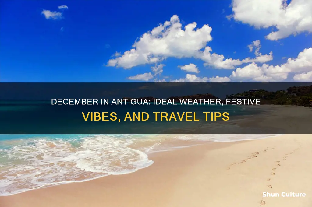is december a good time to visit antigua