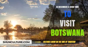 Exploring Botswana in December: Ideal Weather, Wildlife, and Travel Tips