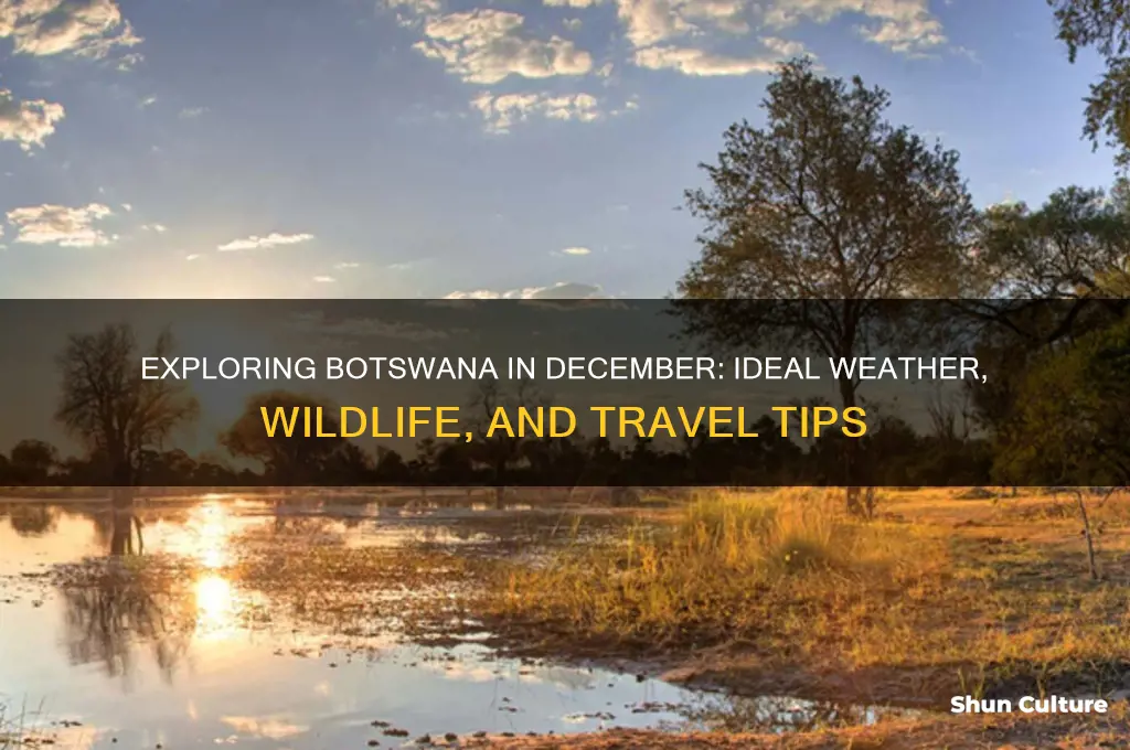 is december a good time to visit botswana