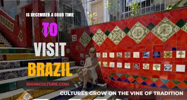 Exploring Brazil in December: Ideal Weather, Festivals, and Travel Tips