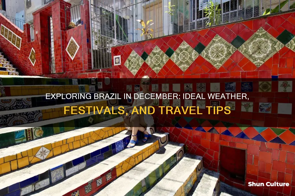 is december a good time to visit brazil