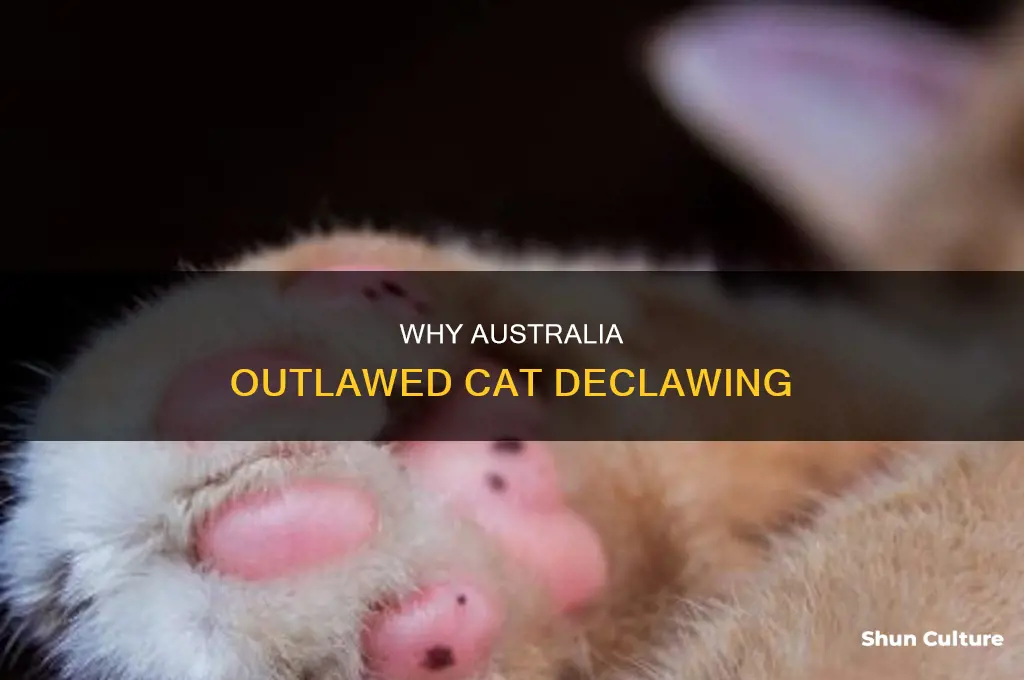 is declawing cats illegal in australia