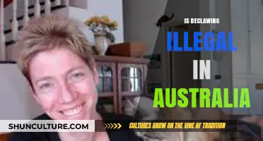 Australia's Declawing Ban: A Humane Law