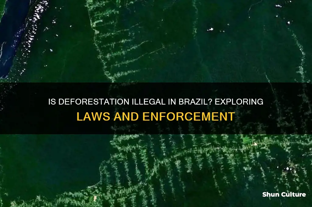 is deforestation illegal in brazil