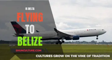 Delta's Belize Bound: Exploring New Destinations