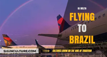 Delta Airlines Brazil Flights: Current Routes and Travel Updates