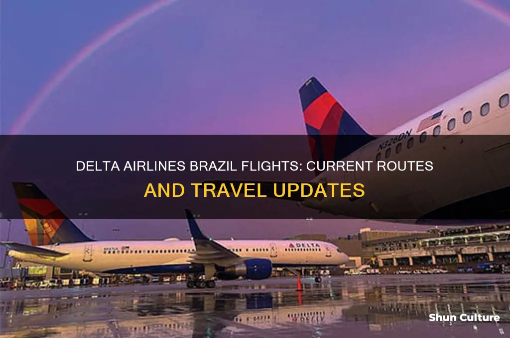 is delta flying to brazil
