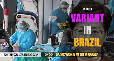 Delta Variant in Brazil: Spread, Impact, and Public Health Response
