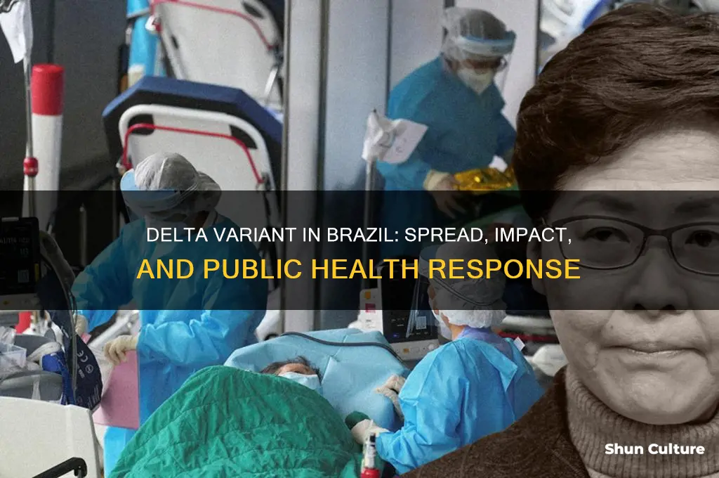 is delta variant in brazil